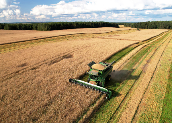 2023 Barley Harvest Summary